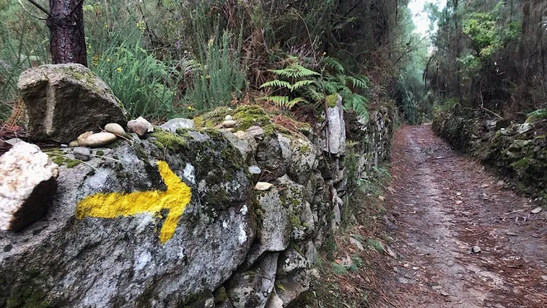 Flèche jaune indiquant le chemin vers Saint-Jacques-de-Compostelle