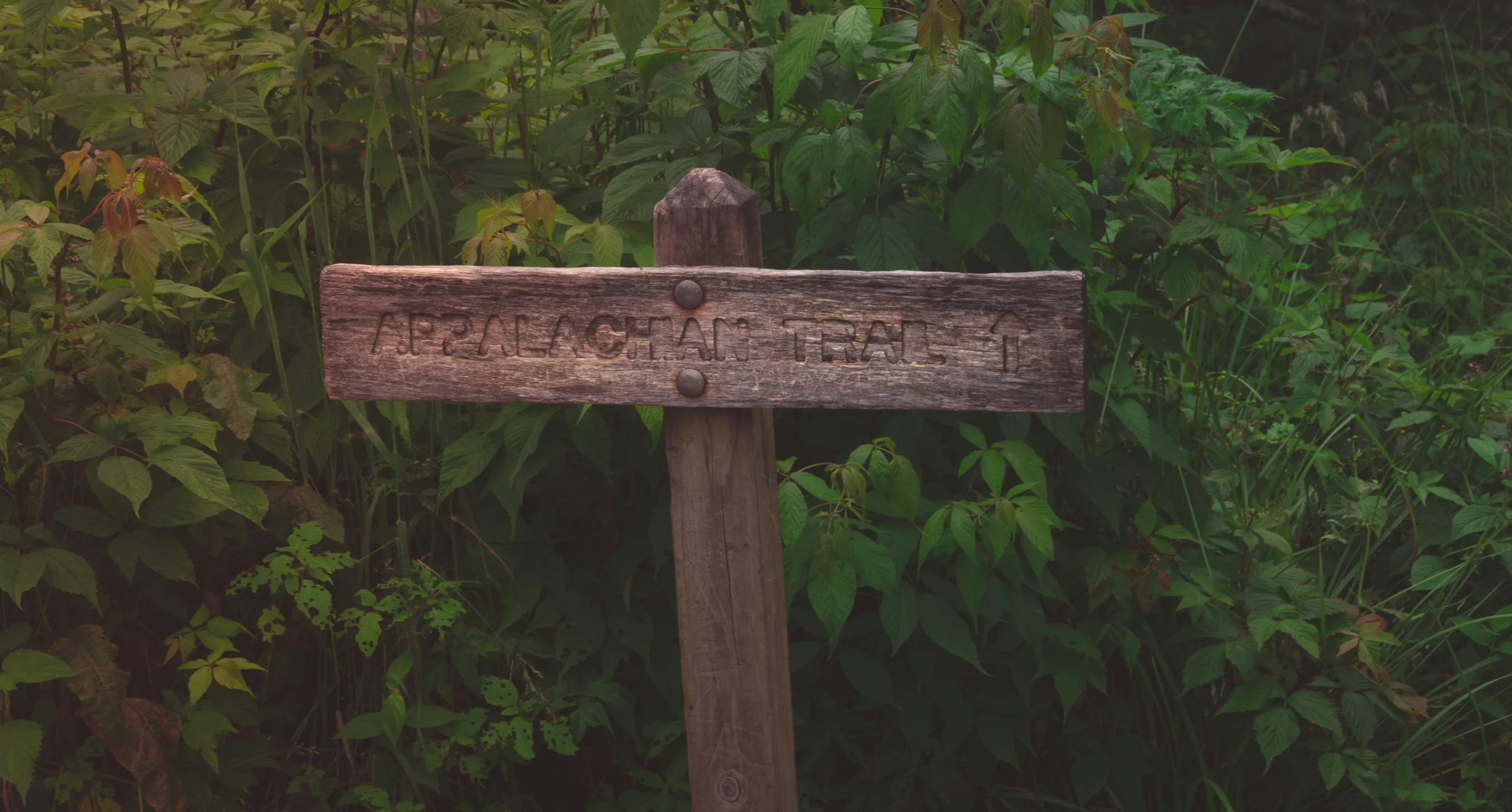 Panneau en bois indiquant l’Appalachian Trail dans la végétation