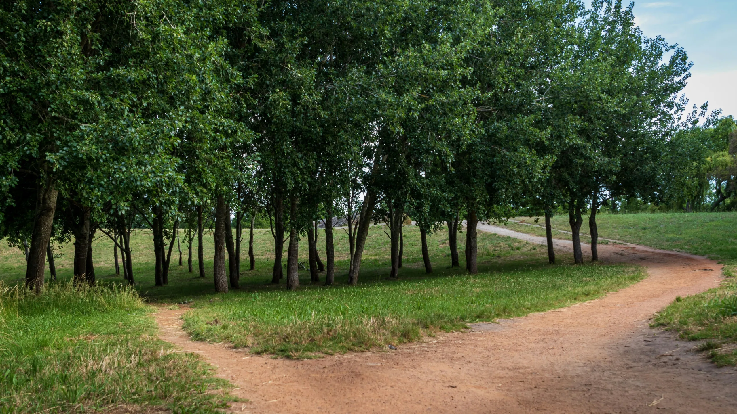 Sentier principal et chemin de traverse dans la forêt