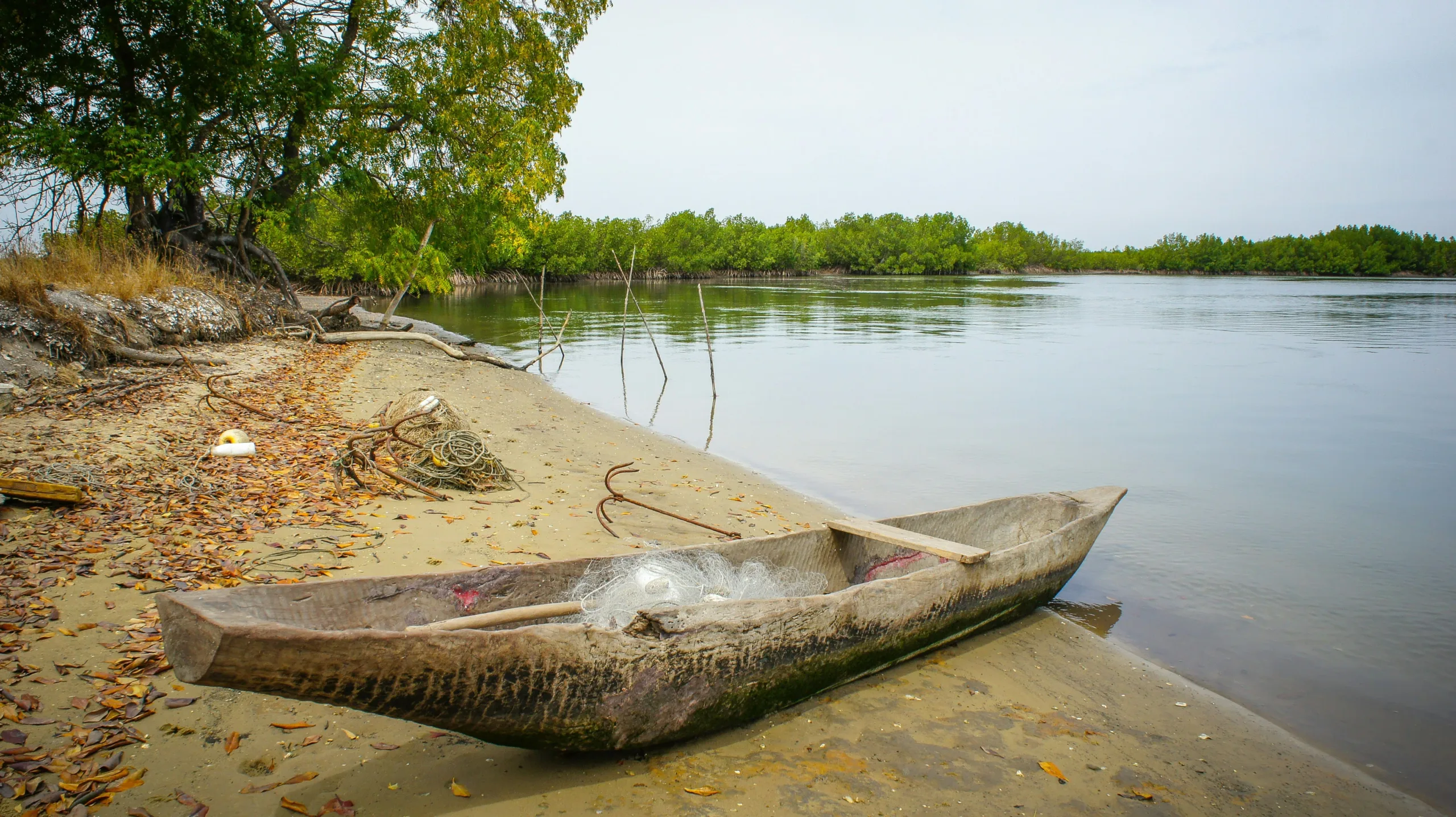 Pirogue de pêche sur une rive en Casamance au Sénégal