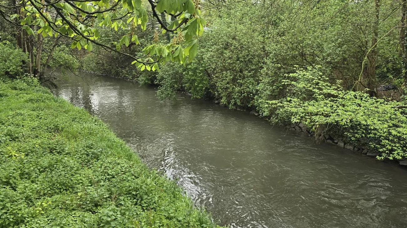 L'embouchure du Geer à Maastricht