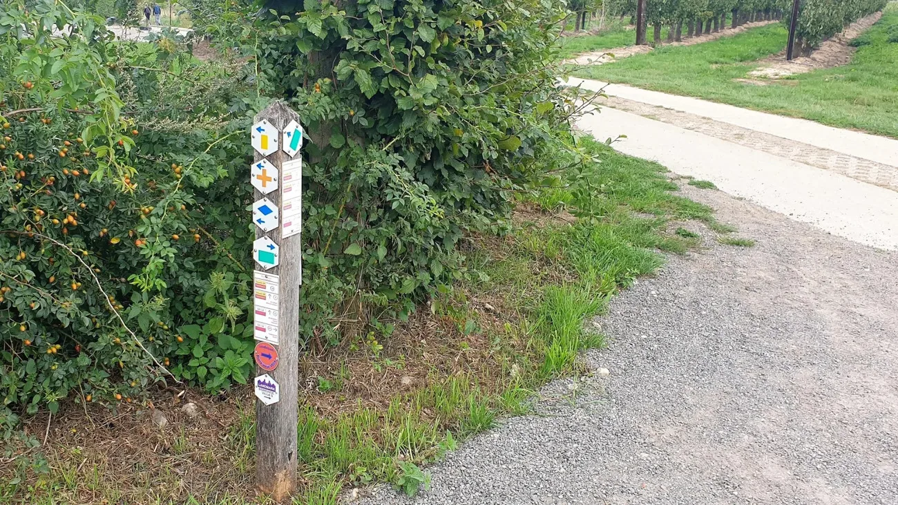 Marquage des itinéraires balisés vers l'église transparente de Borgloon