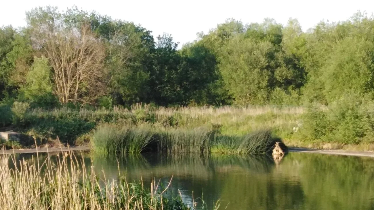 Randonner près d'un bassin d'orage (c) Nathalie Herman