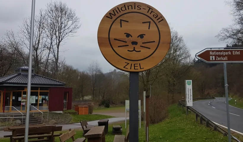 Sur les traces du chat sauvage (c) Alain Demaret