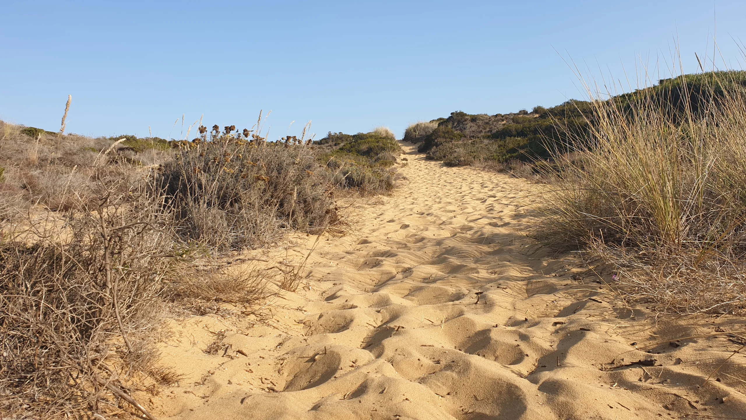 Sentier sablonneux de la Rota Vicentina sous une forte chaleur au Portugal