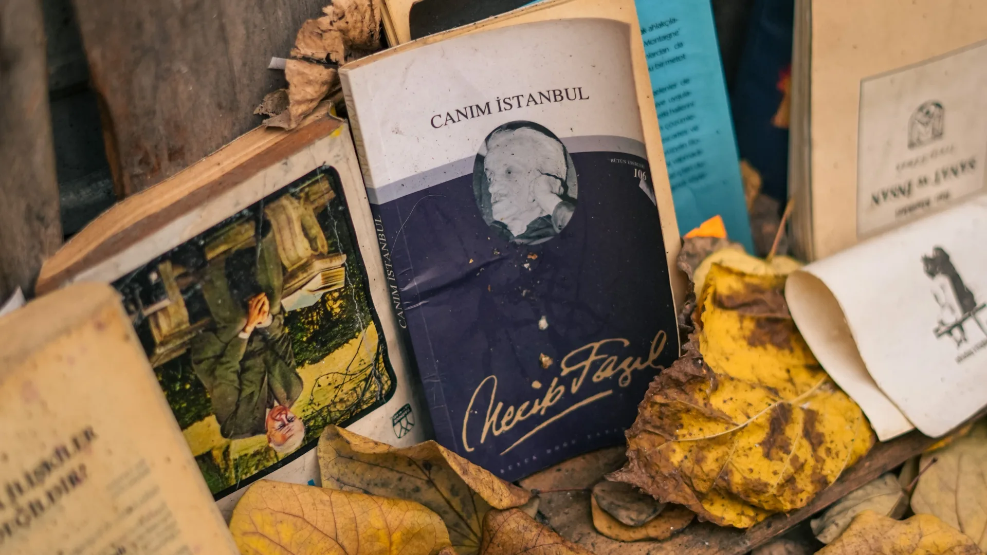 Livres abandonnés parmi des feuilles mortes, prêts à trouver de nouveaux lecteurs