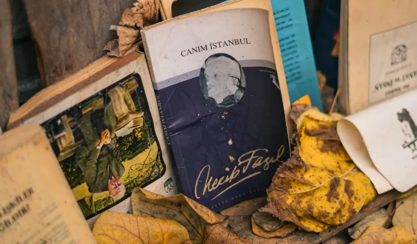 Livres abandonnés parmi des feuilles mortes, prêts à trouver de nouveaux lecteurs